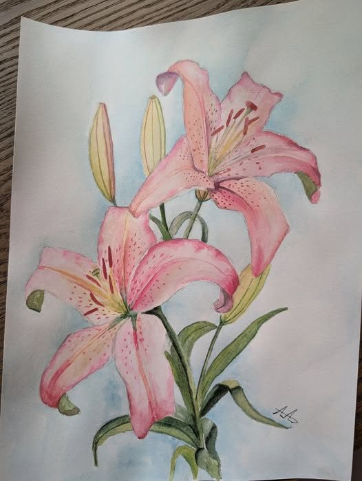 Watercolour of two pink lilies with buds and green leaves